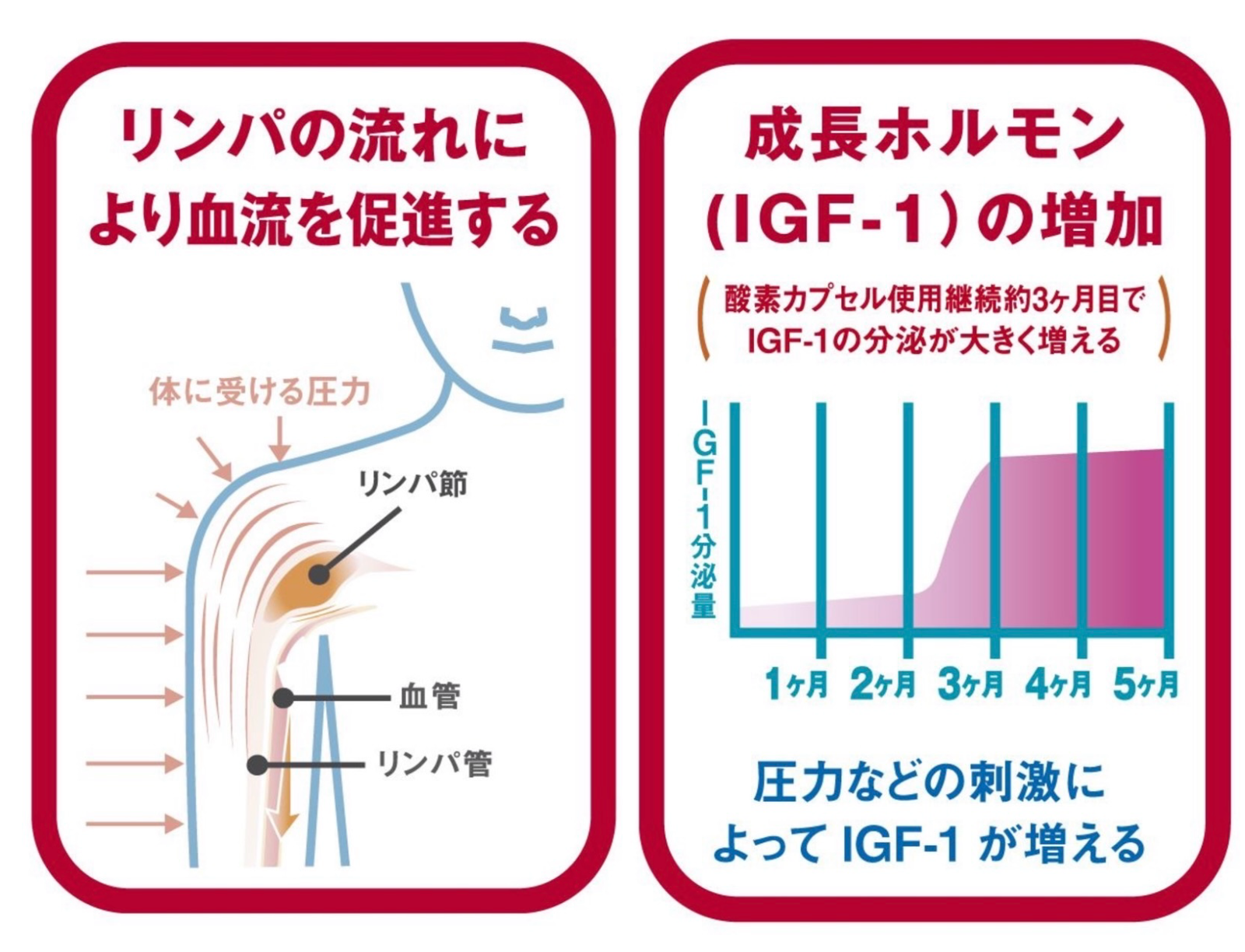 酸素カプセル 株式会社 章健工業 木更津市祇園 プラント配管|店舗リノベーション|土木|鳶|溶接|水道|管工事