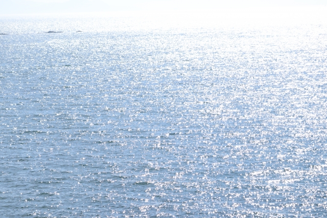 夏